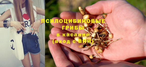 прущая мука Заводоуковск