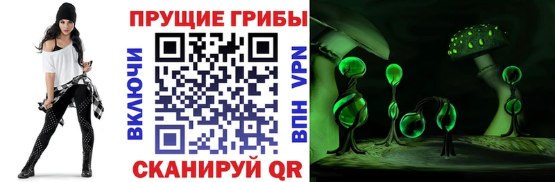 Псилоцибиновые грибы Magic Shrooms  Купить закладки  Мамоново 